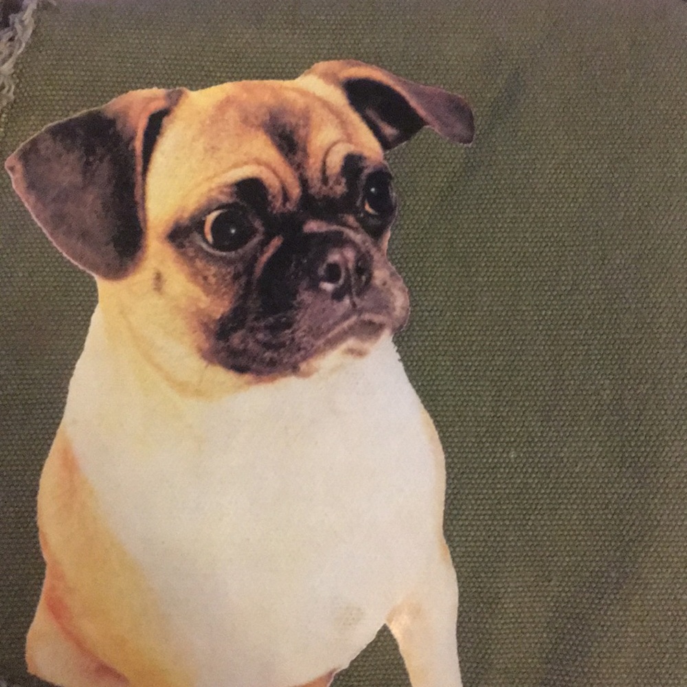FUZZY NATION PUG PURSE